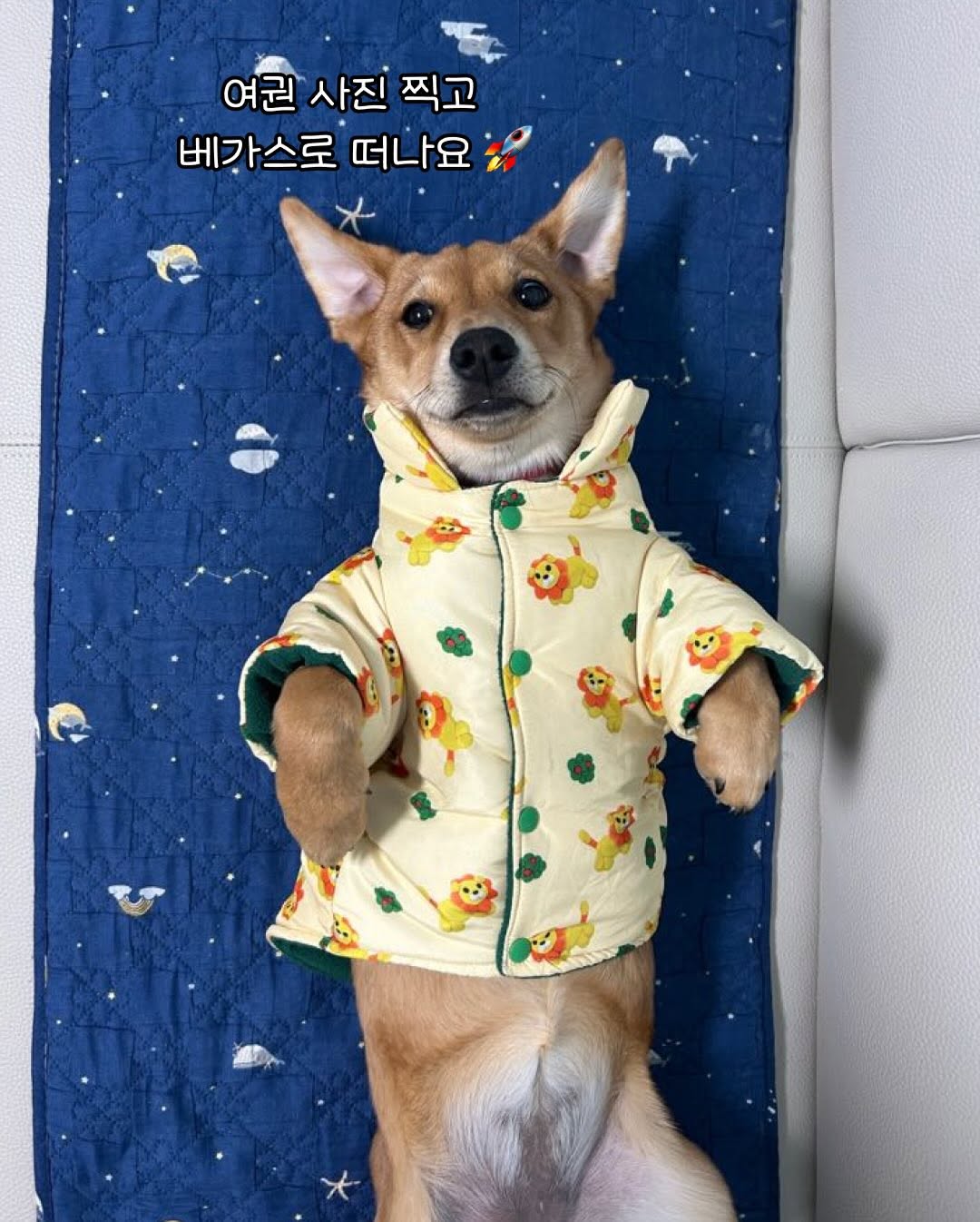 상세 사진 15