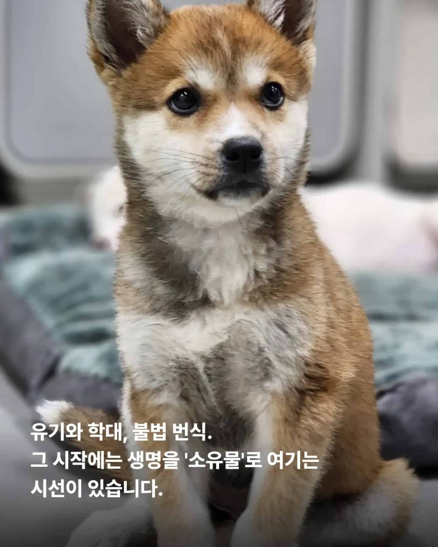 상세 사진 8