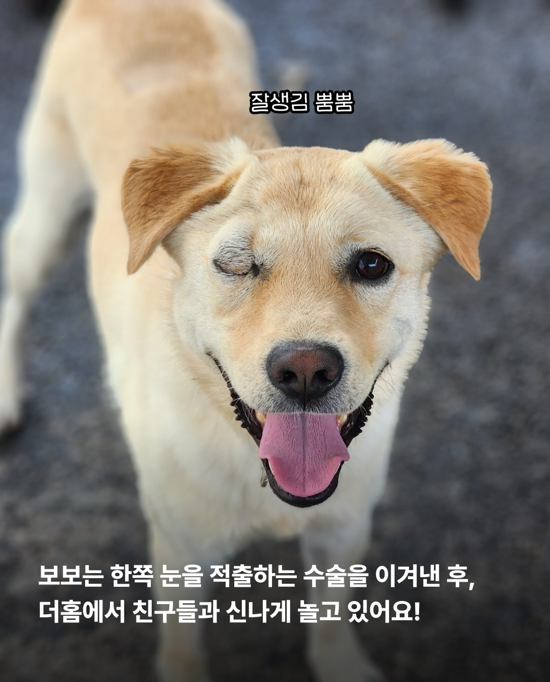 상세 사진 8