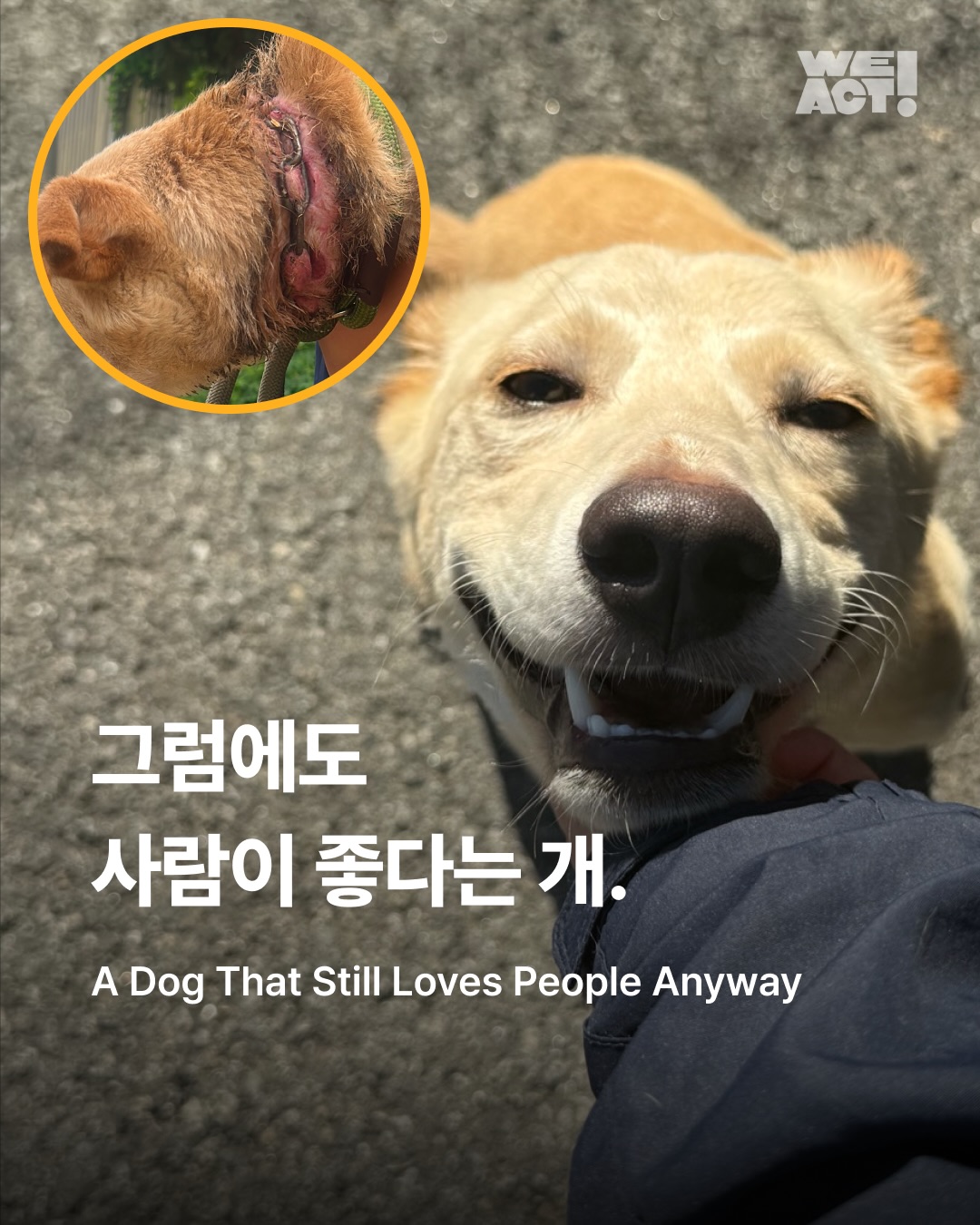 상세 사진 1