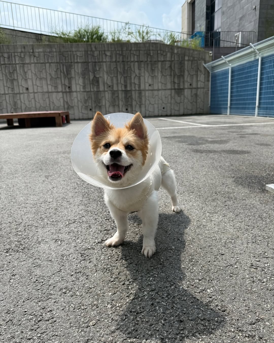 상세 사진 9