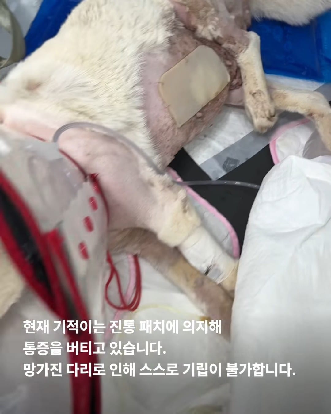 상세 사진 6
