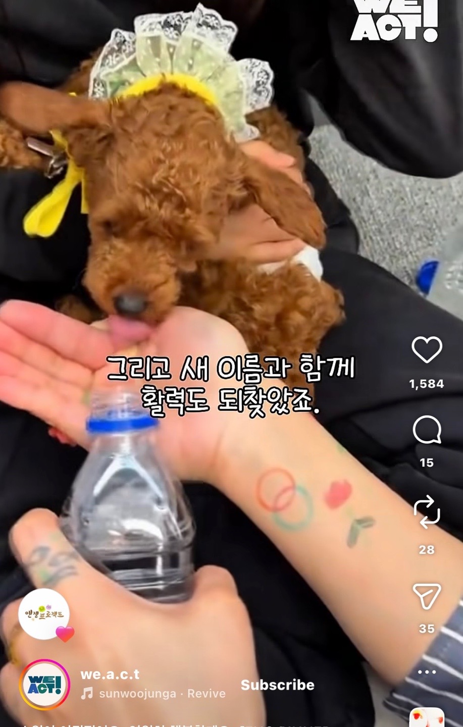 상세 사진 10