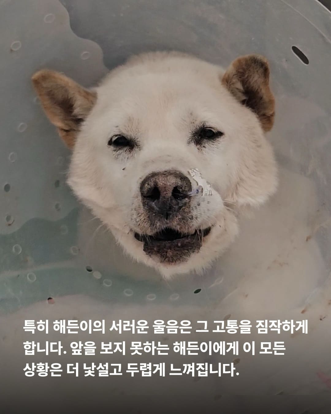 상세 사진 3