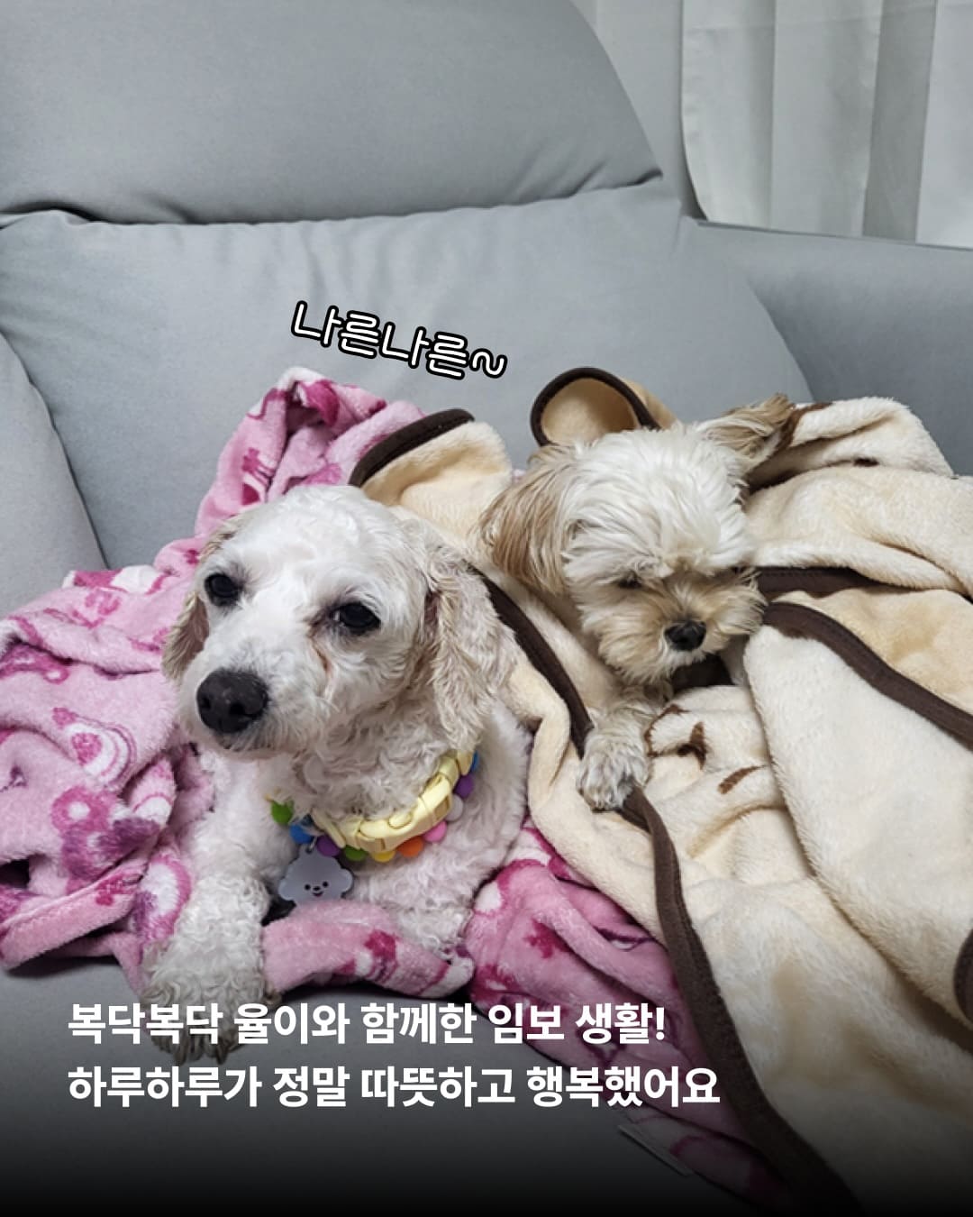 상세 사진 5