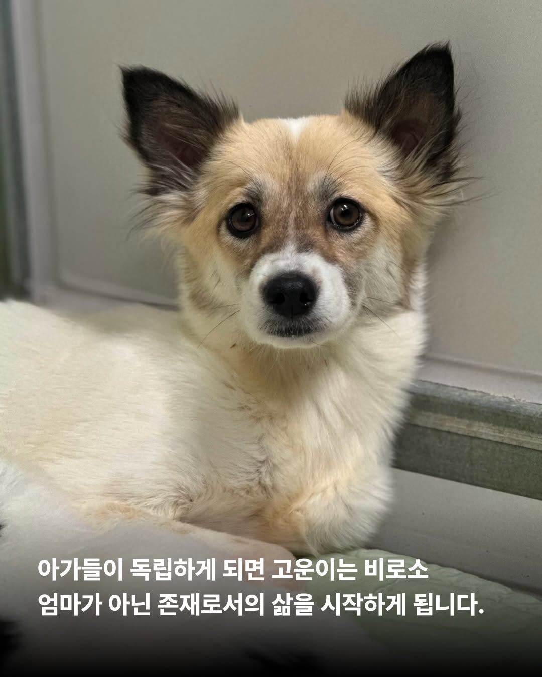 상세 사진 11