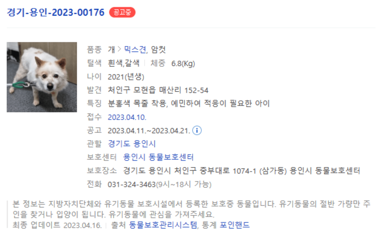 상세 사진 5