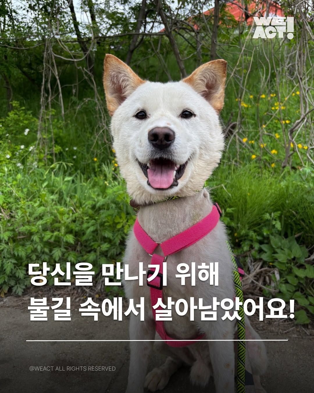 상세 사진 1