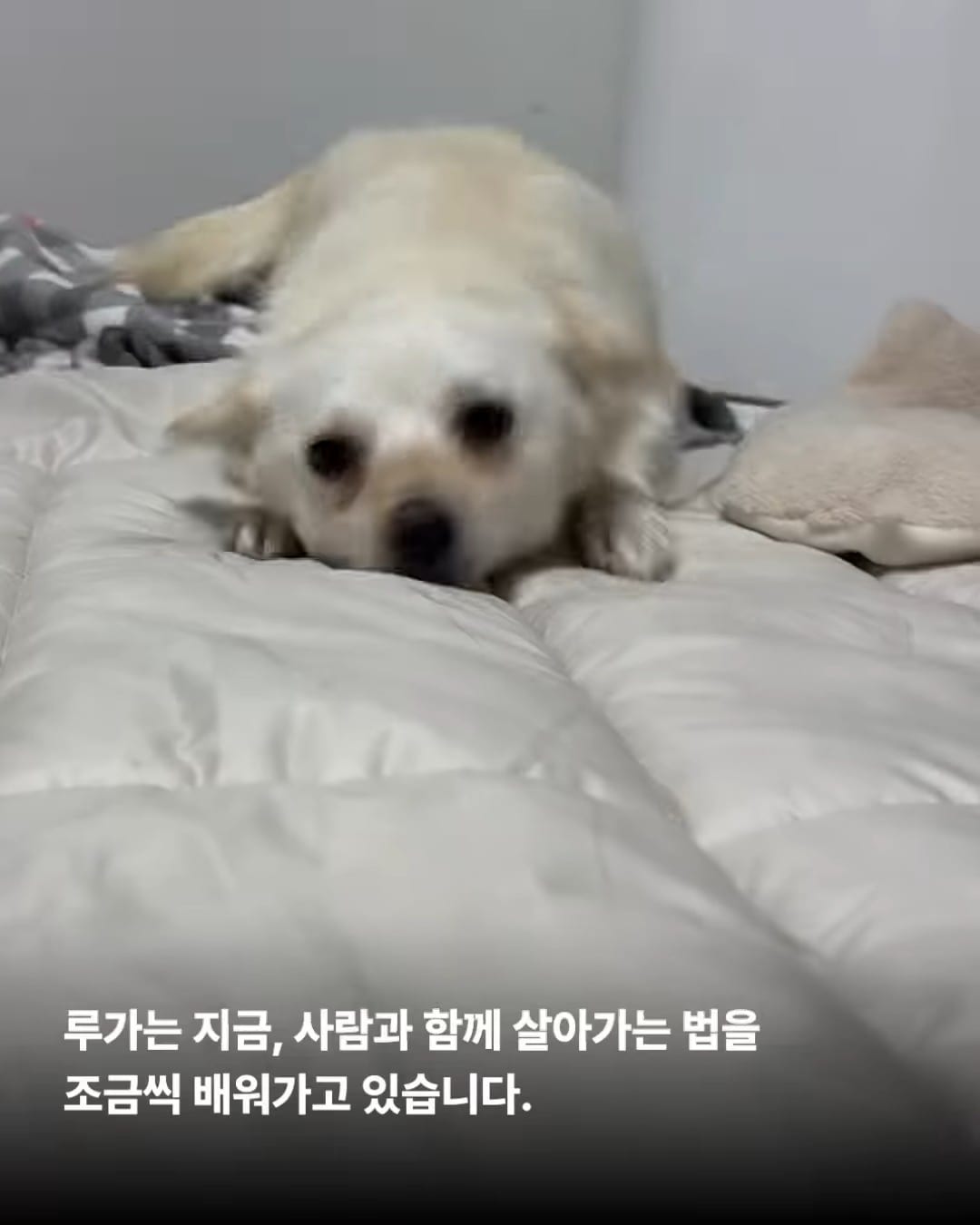 상세 사진 9