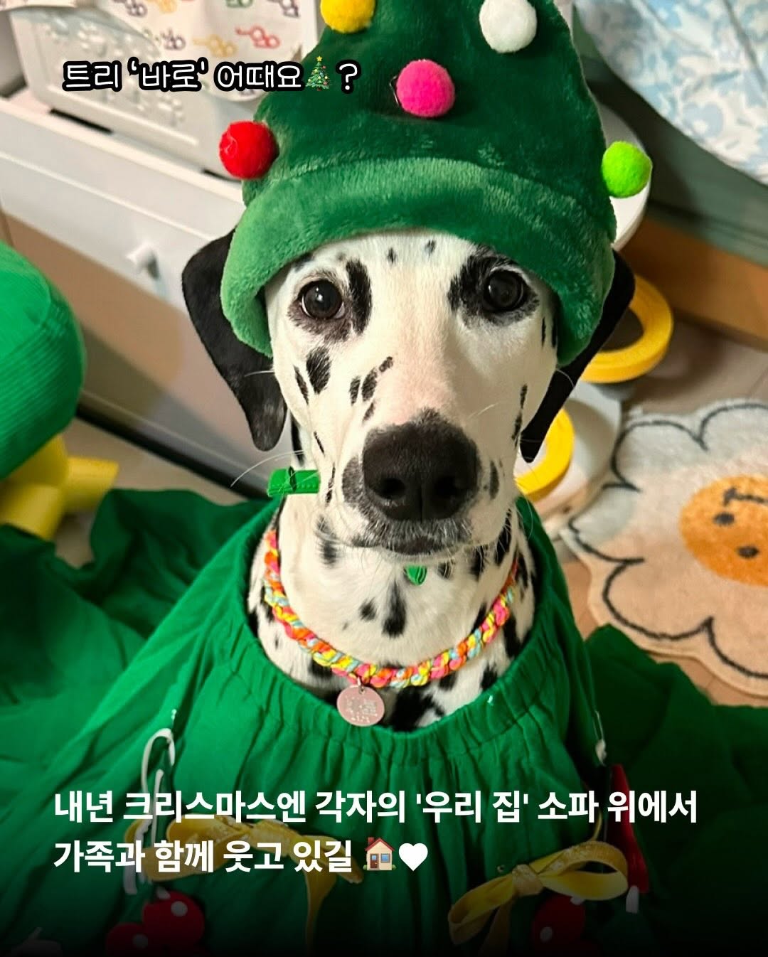 상세 사진 14