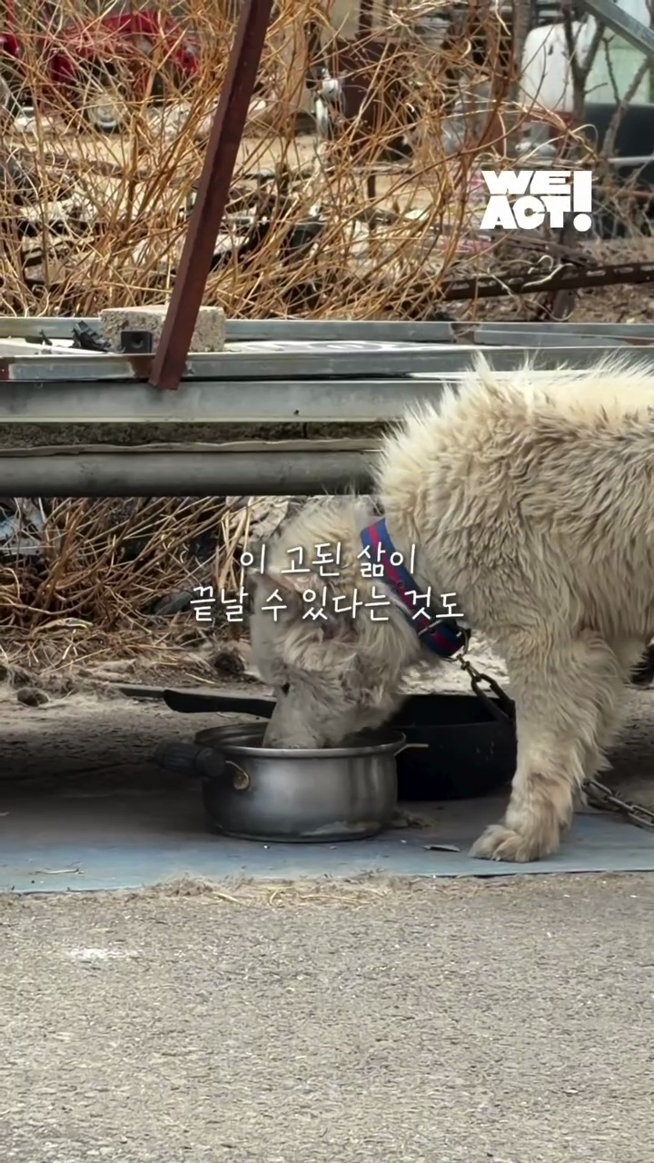 상세 사진 2