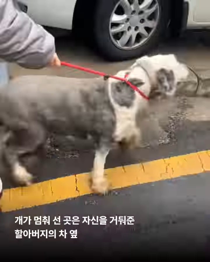 상세 사진 5