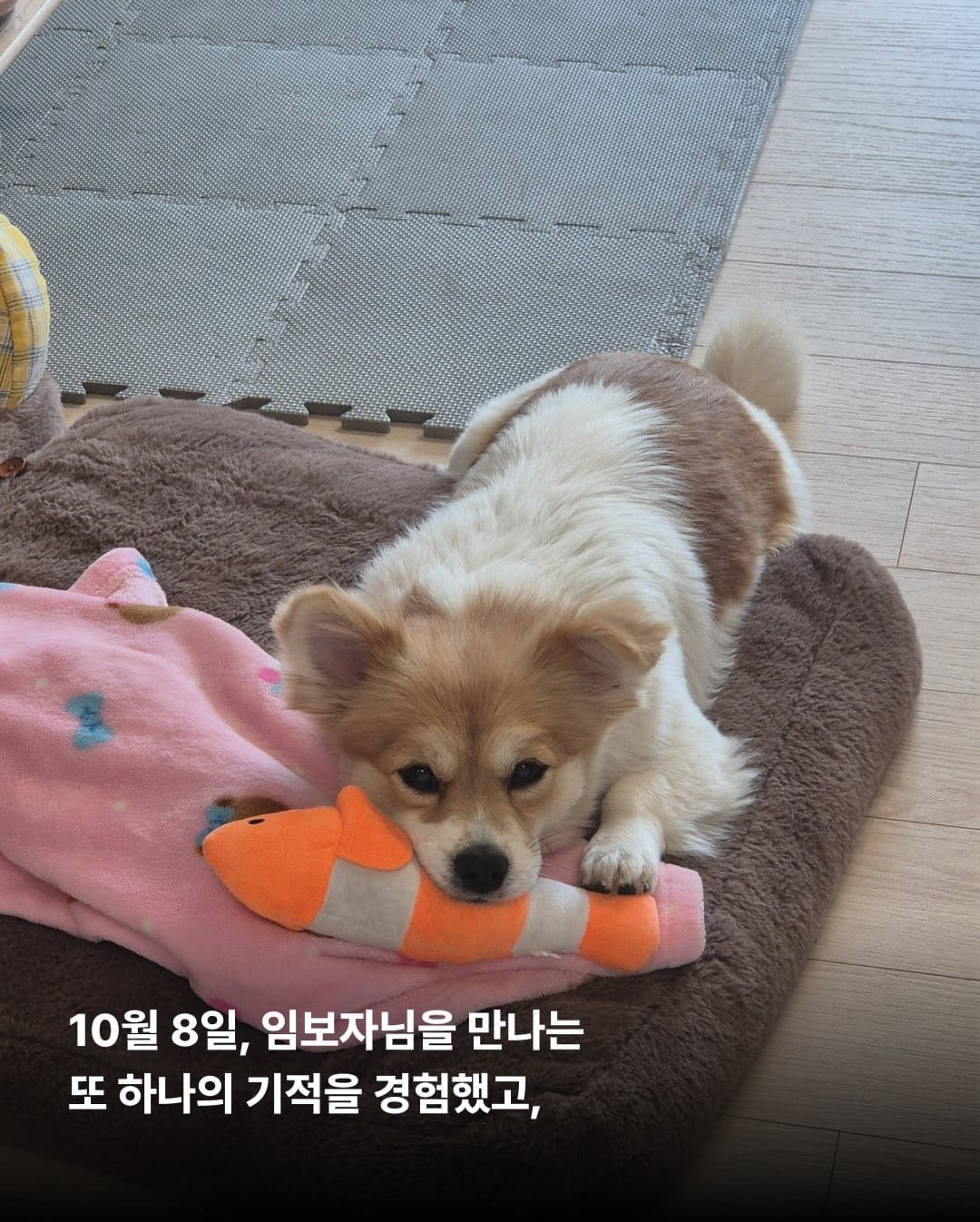 상세 사진 6