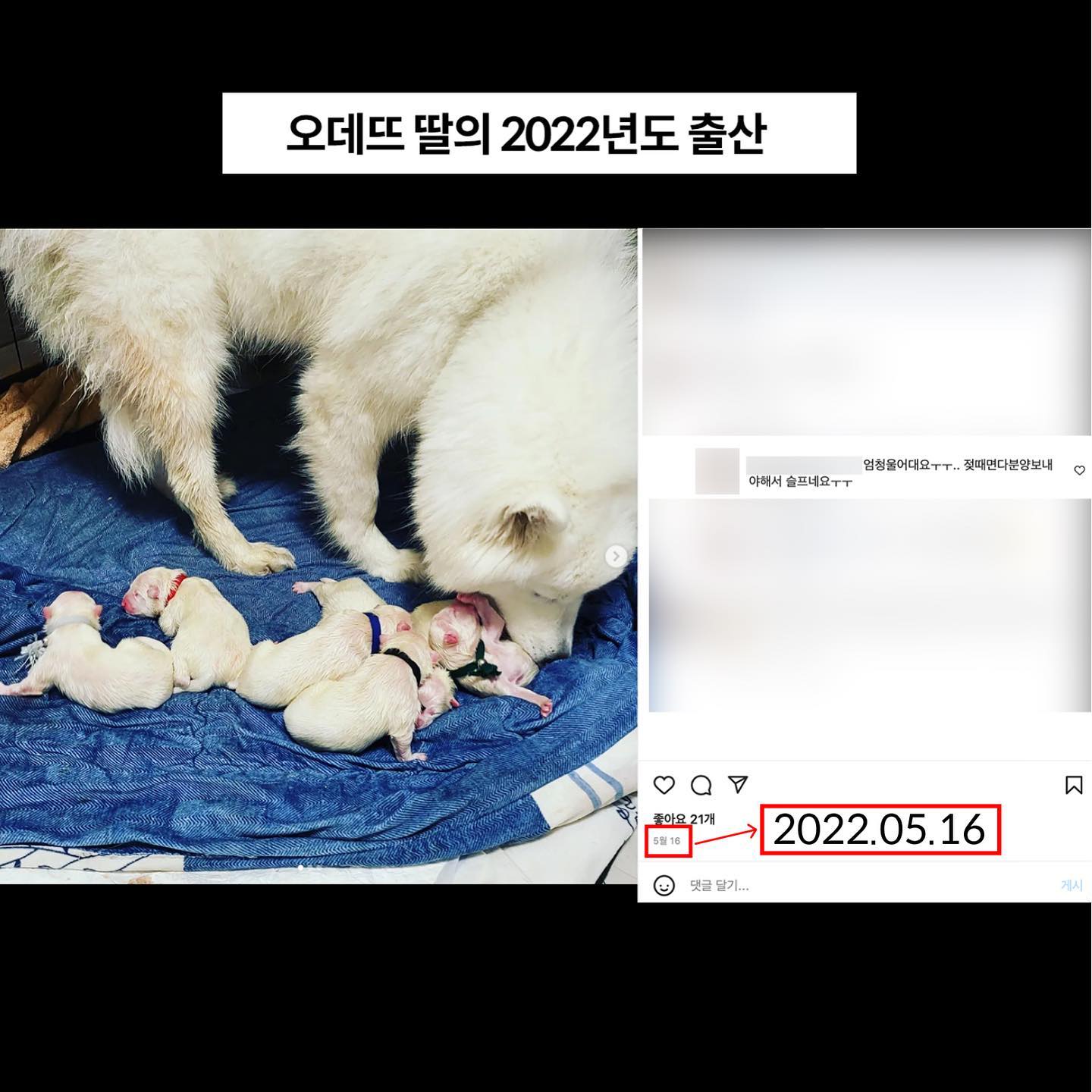 상세 사진 7