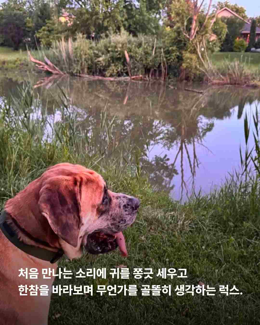 상세 사진 11