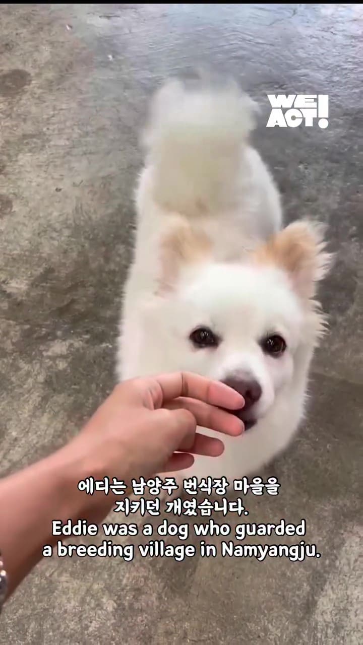 상세 사진 1