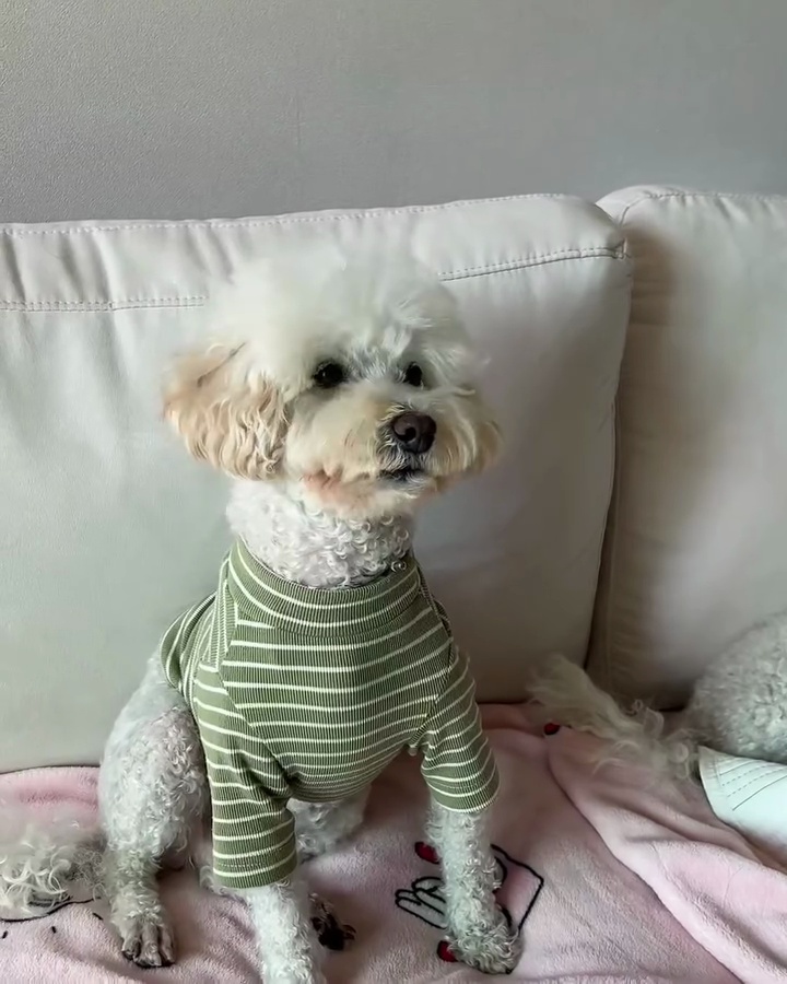 상세 사진 7