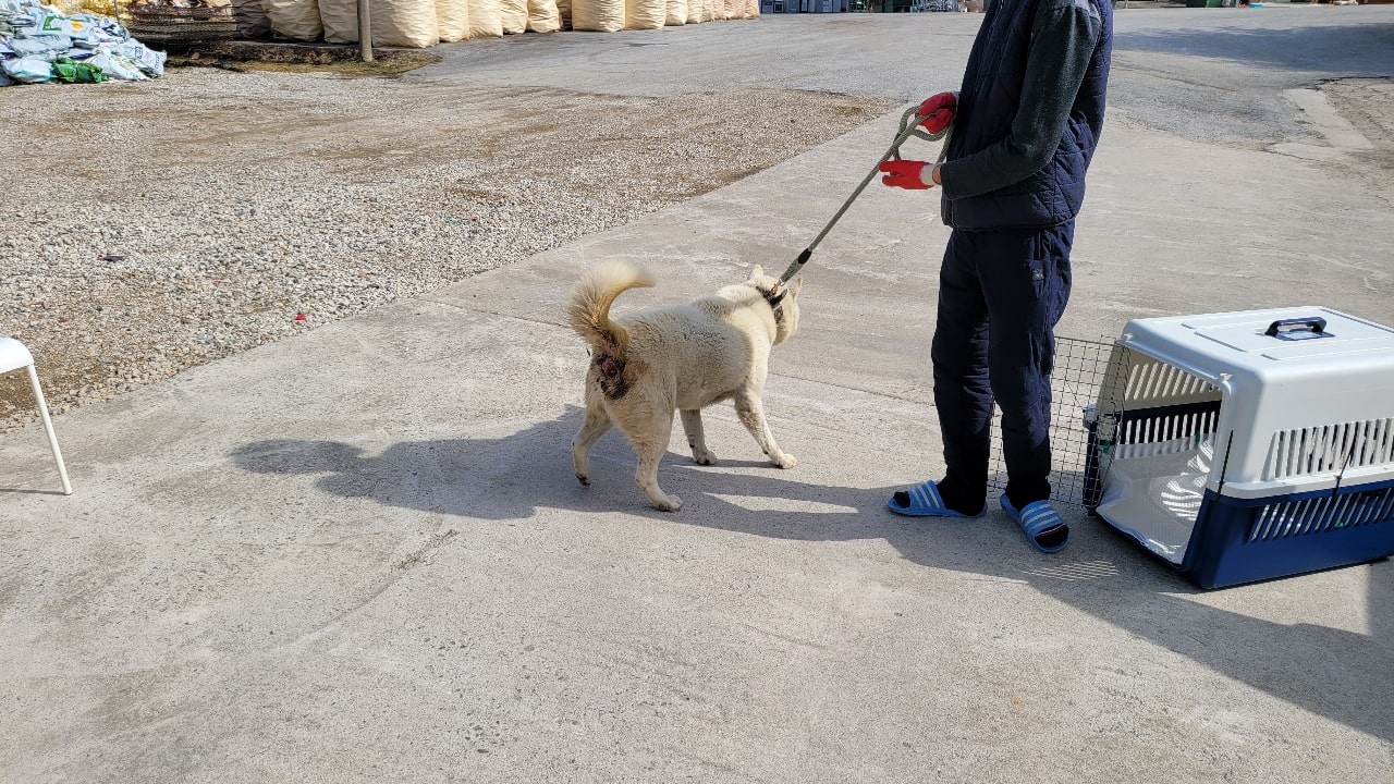 상세 사진 18