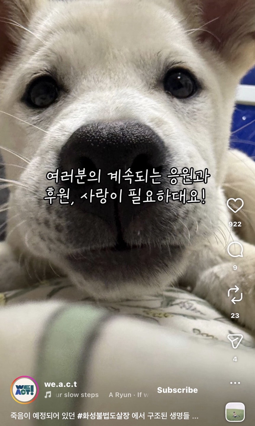 상세 사진 14