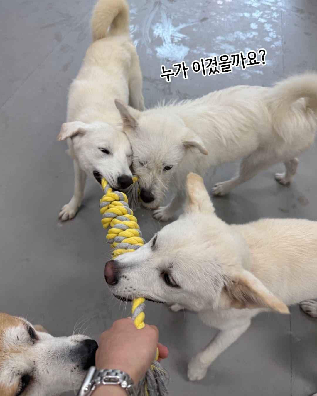상세 사진 9