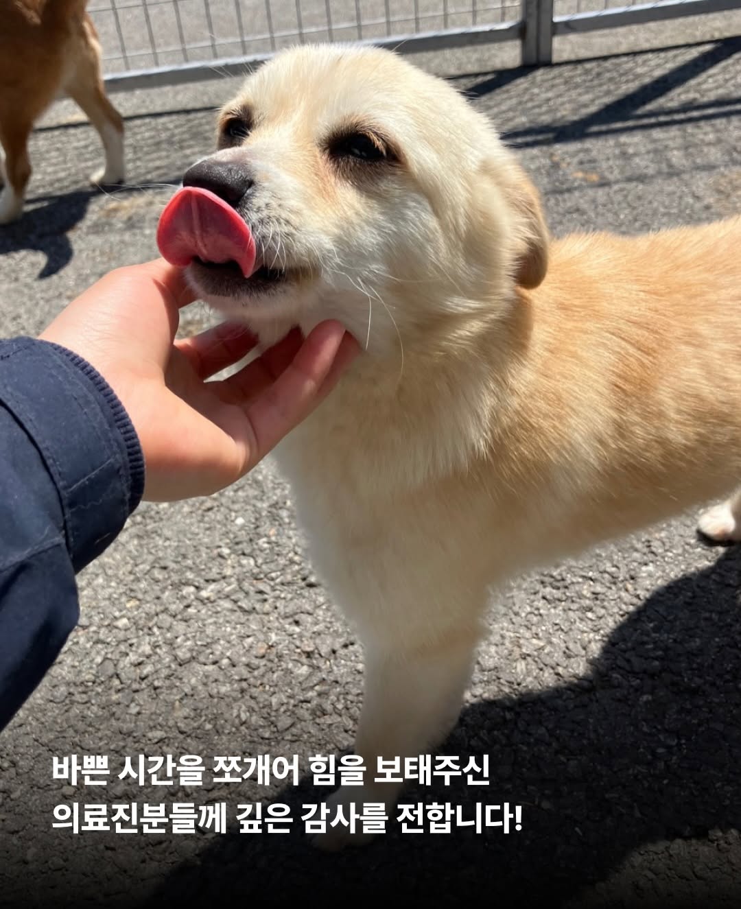 상세 사진 8