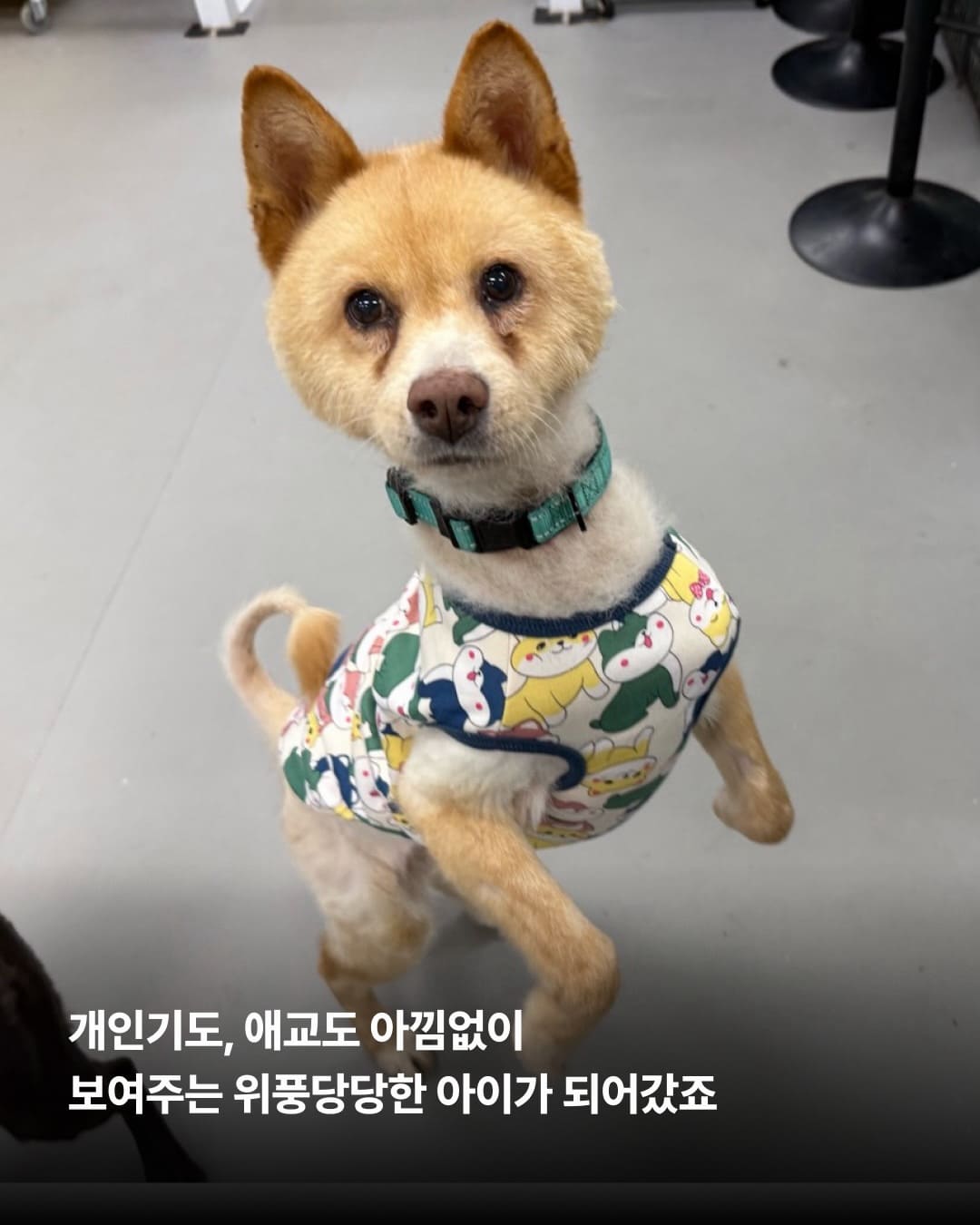 상세 사진 9