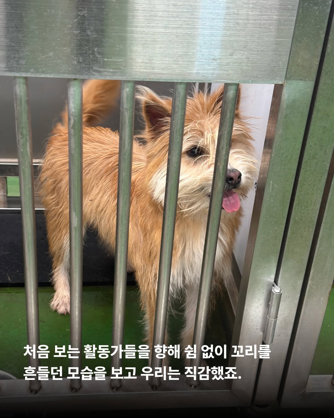 상세 사진 4