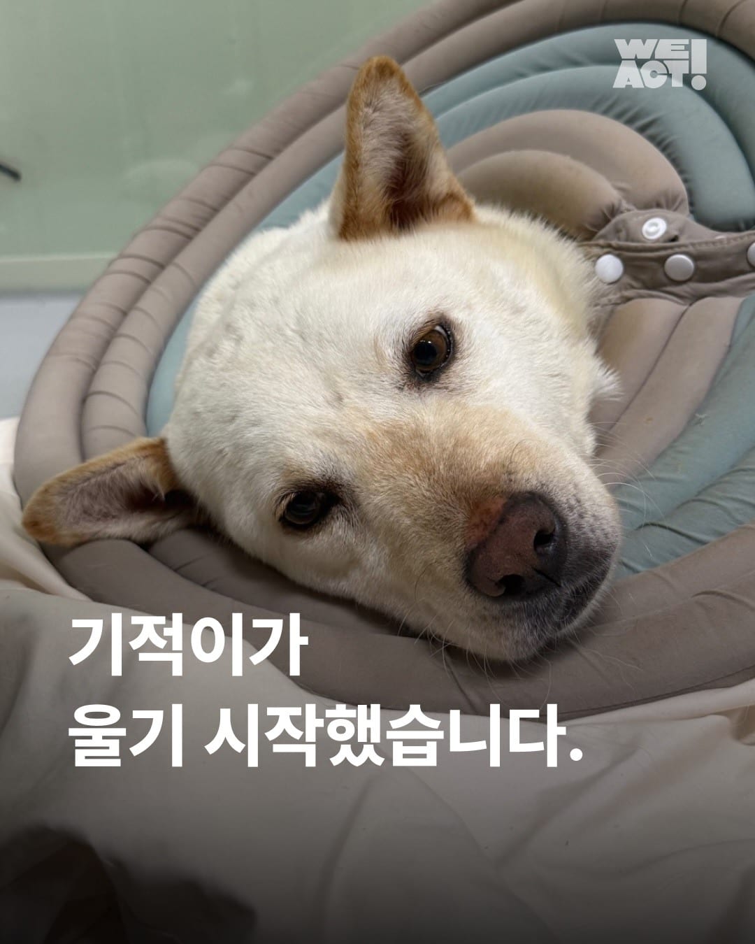 상세 사진 1