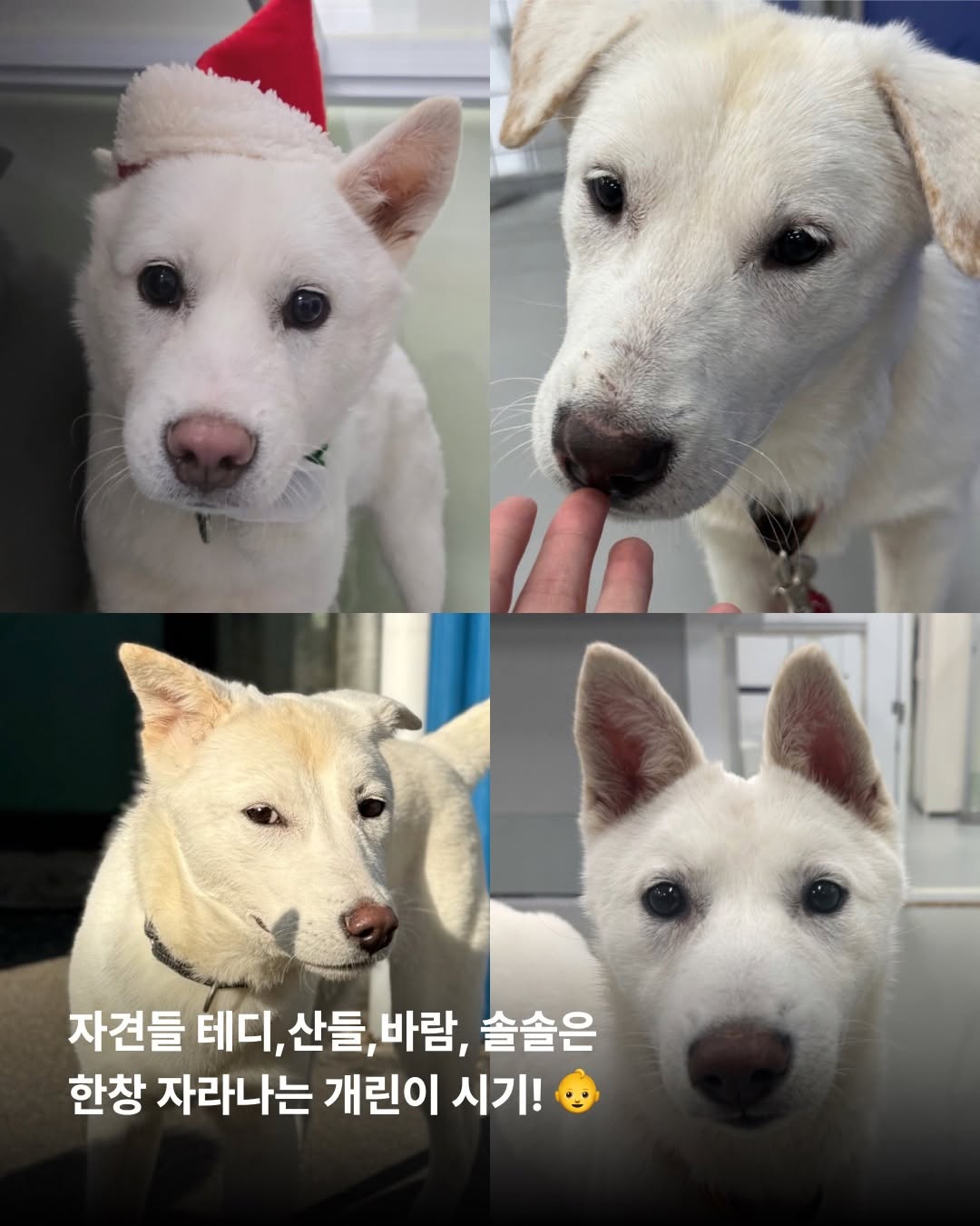 상세 사진 8