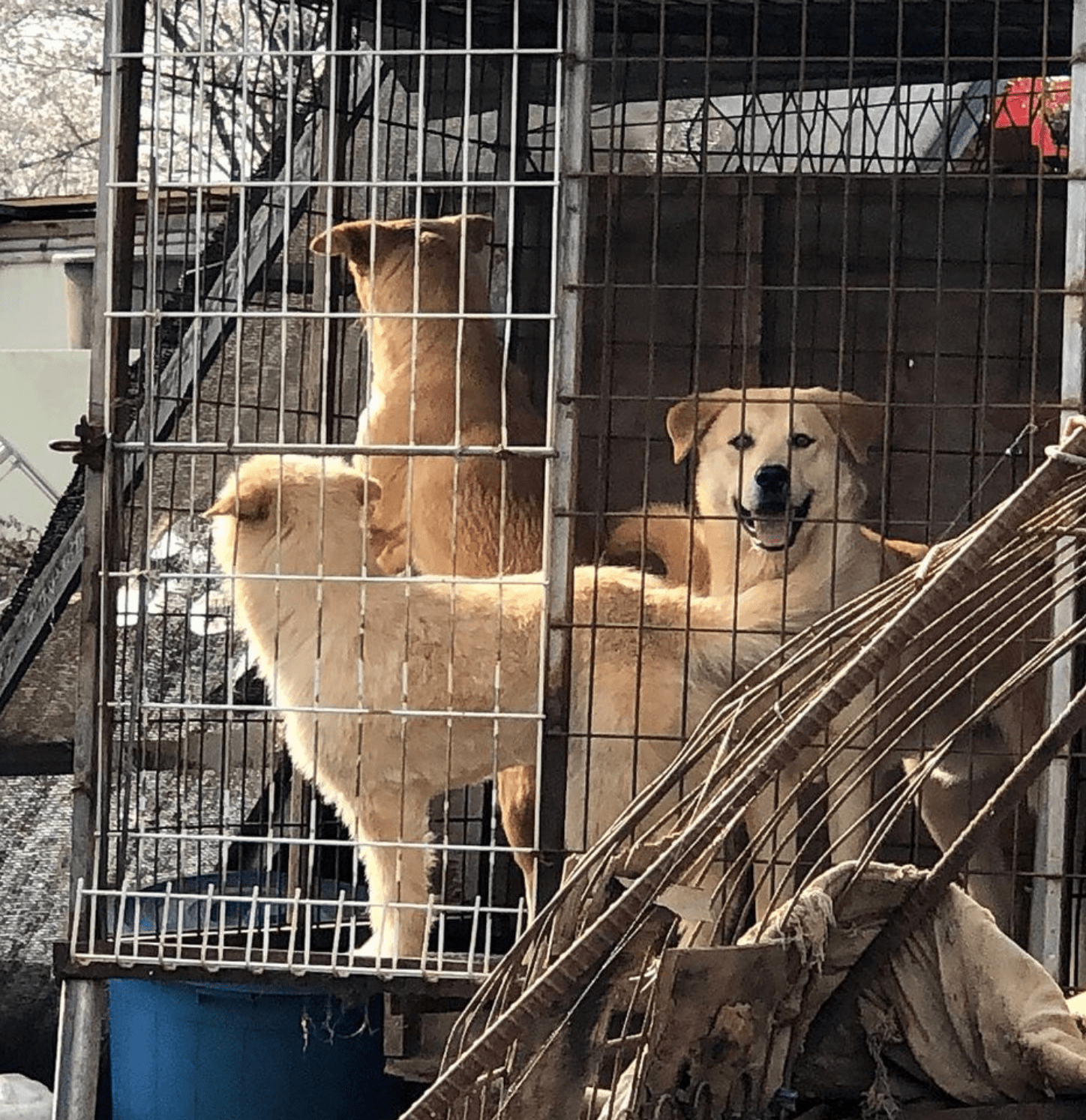 상세 사진 1