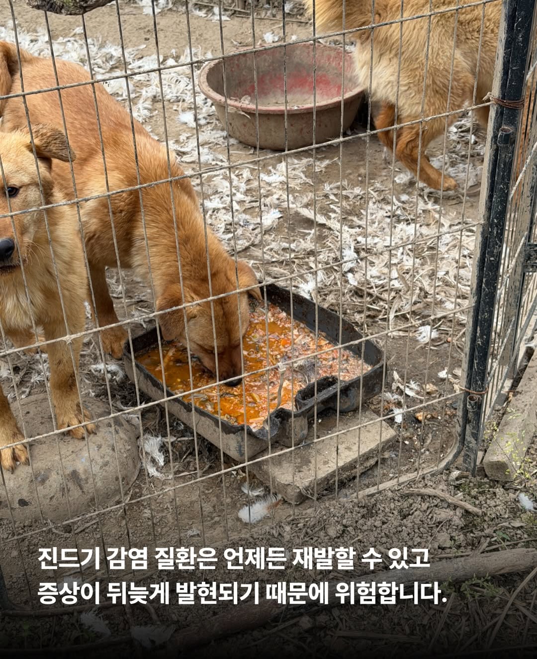 상세 사진 6