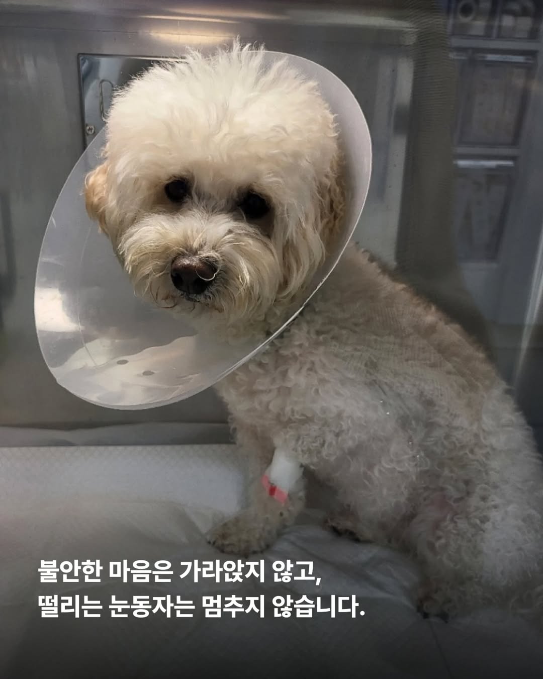 상세 사진 3