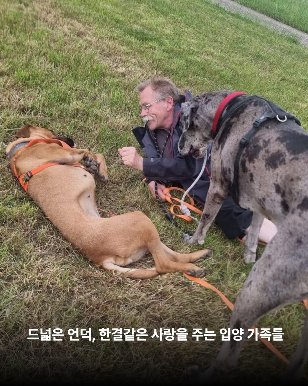 상세 사진 6