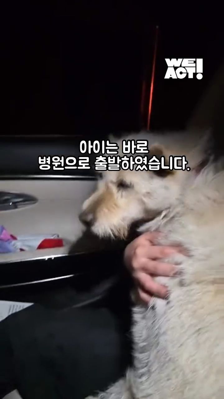 상세 사진 8