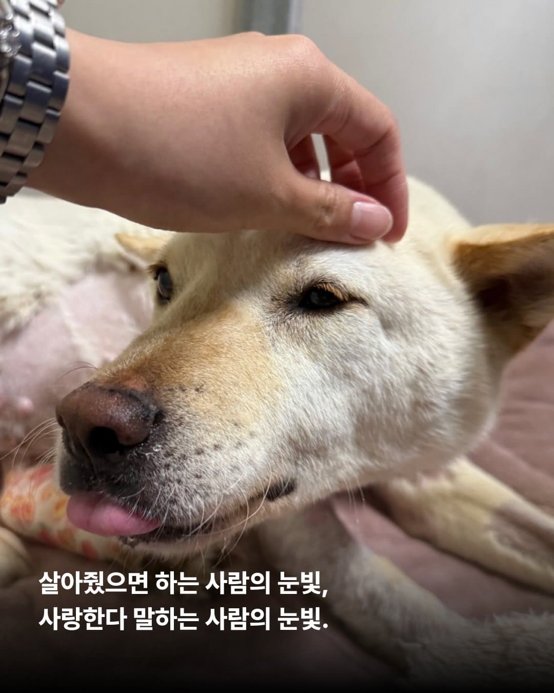 상세 사진 6