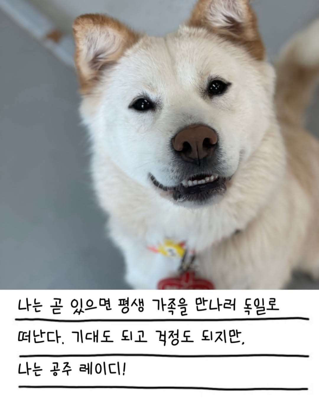 상세 사진 19