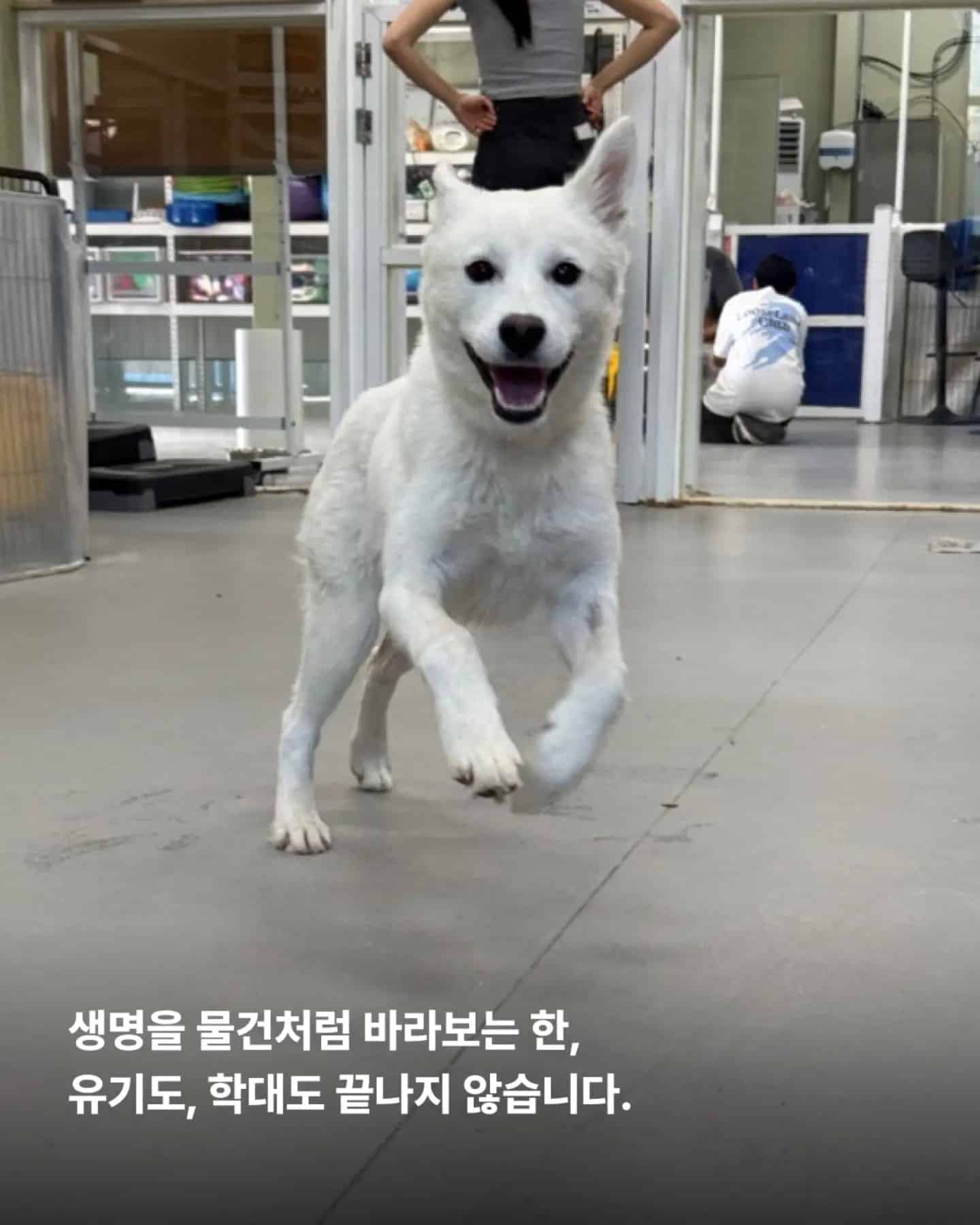 상세 사진 12