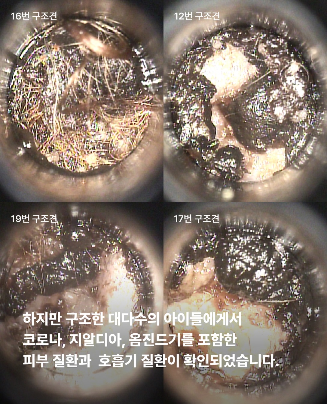 상세 사진 5