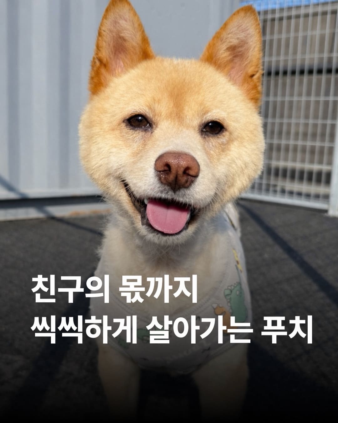 상세 사진 1