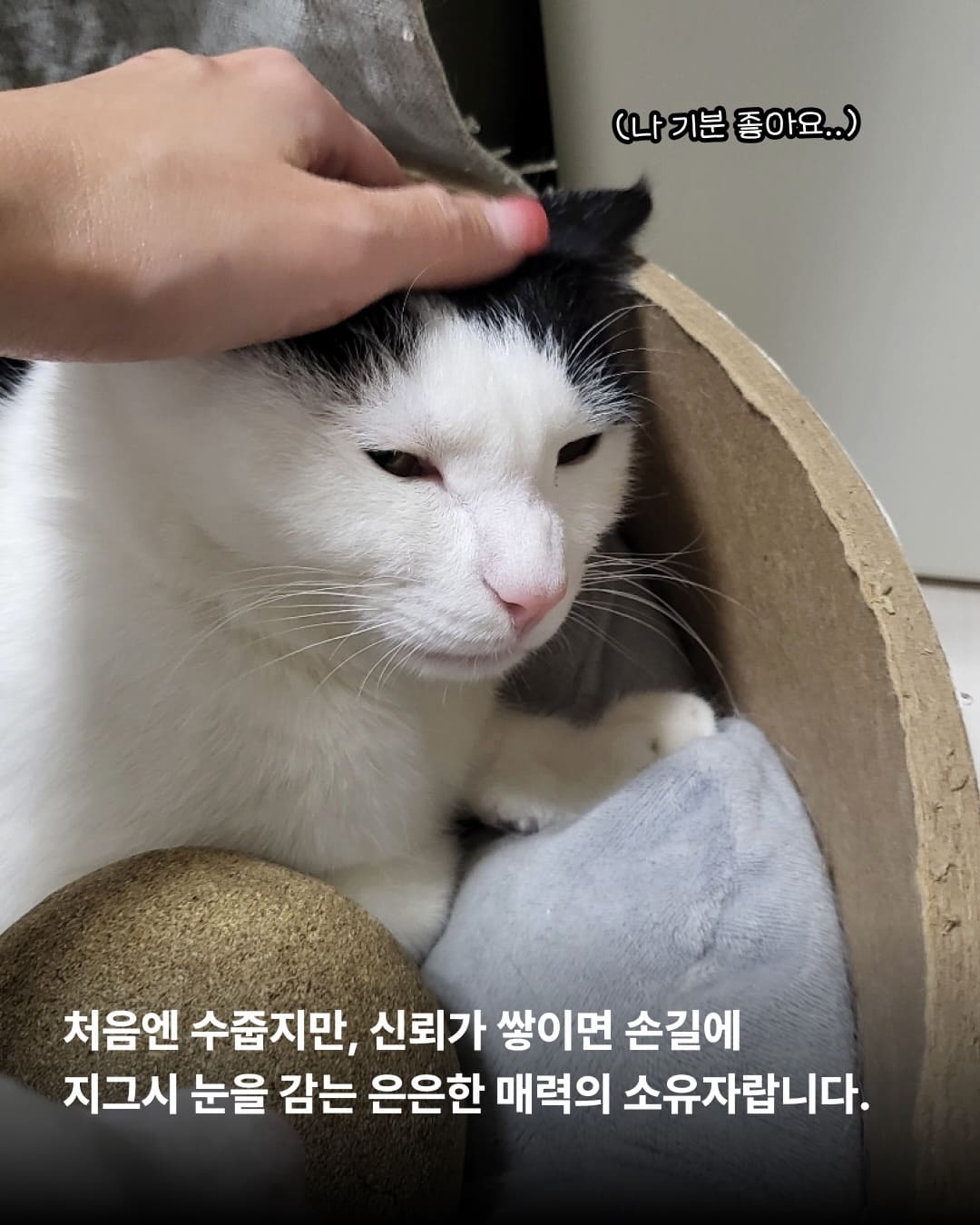 상세 사진 3