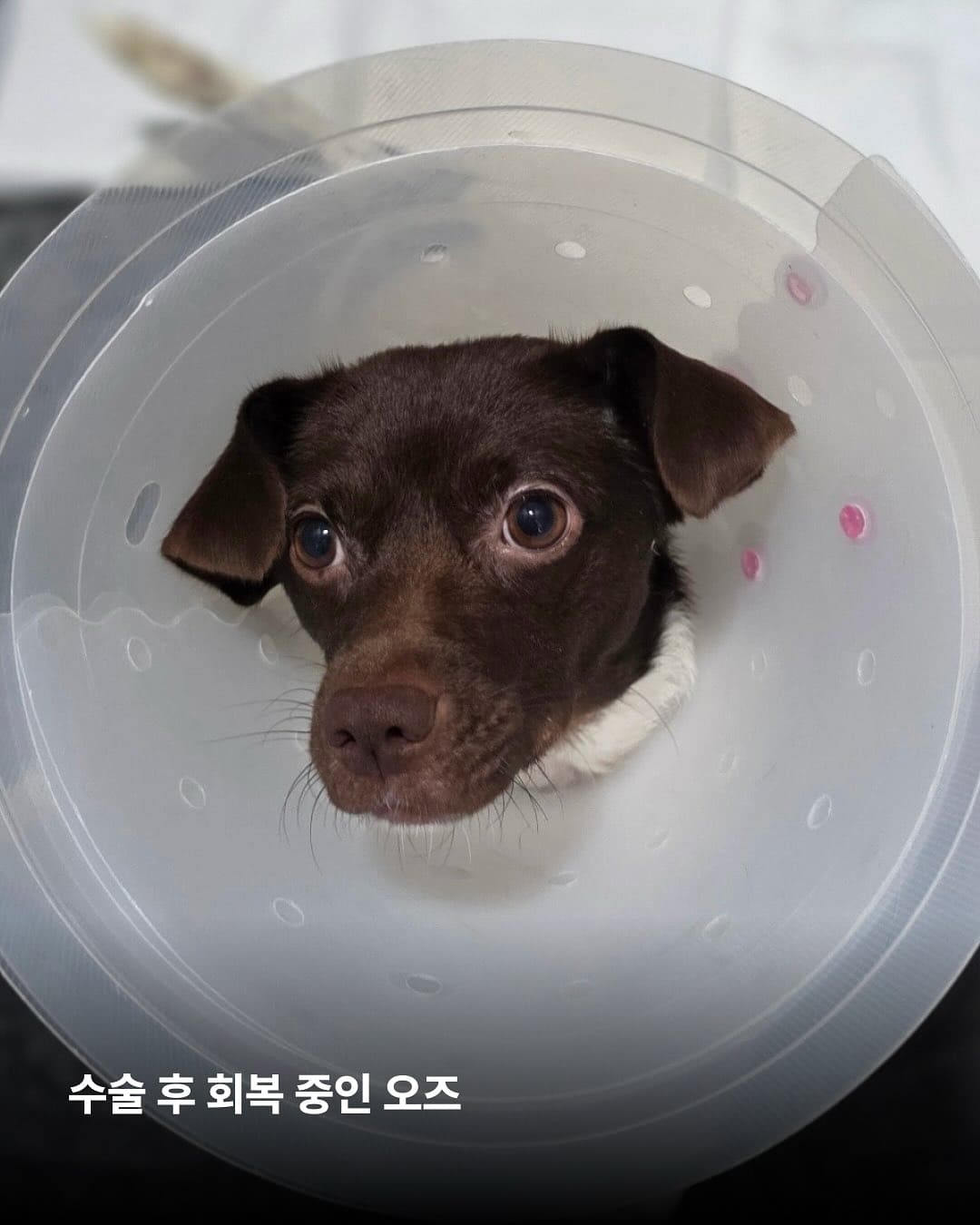 상세 사진 4