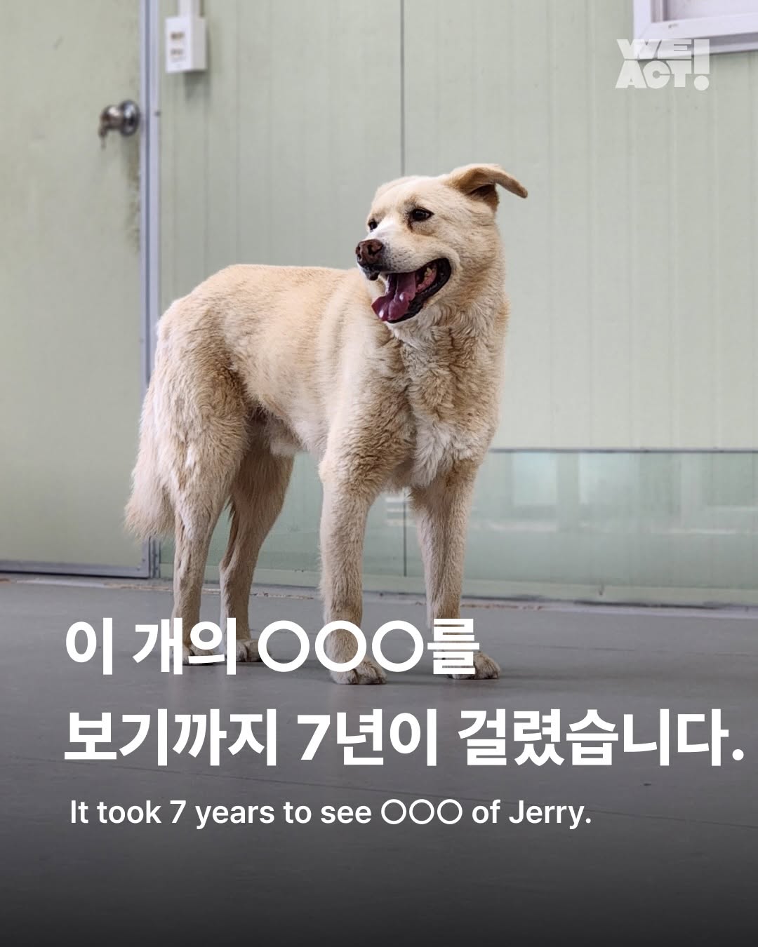 상세 사진 1