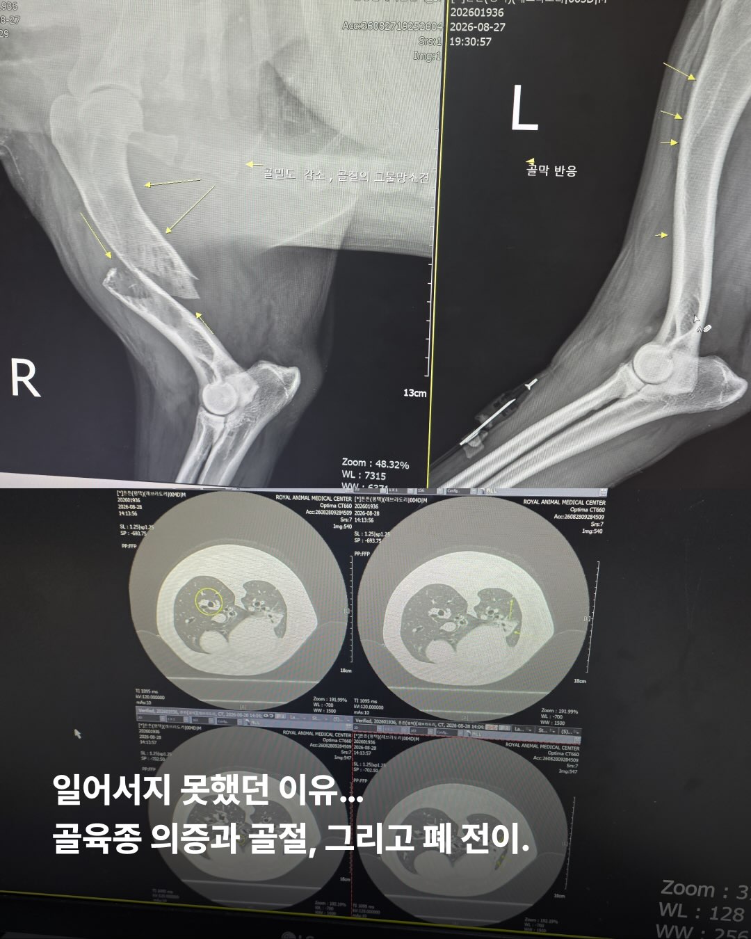 상세 사진 6