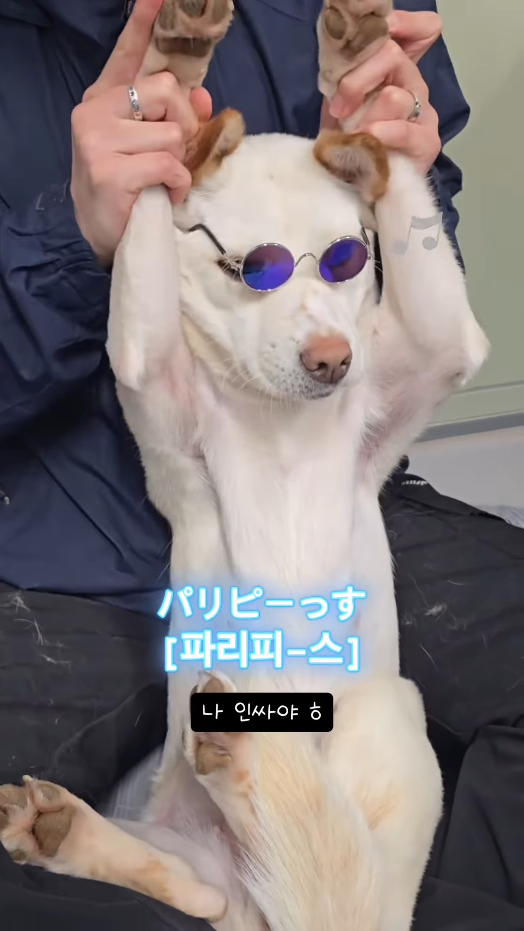 상세 사진 5
