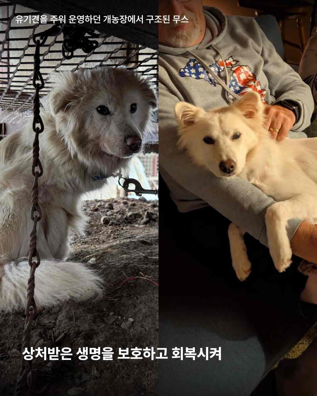상세 사진 7