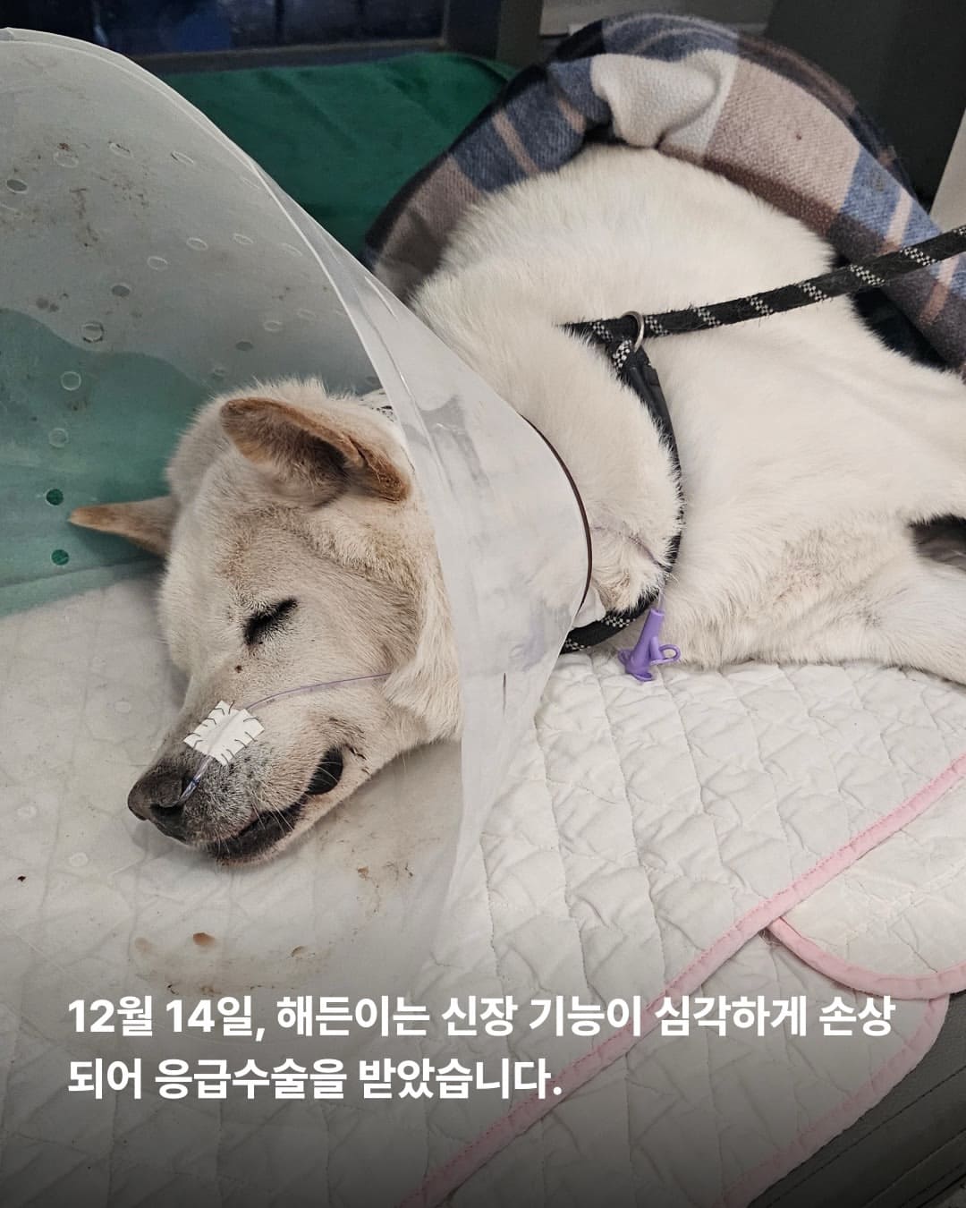 상세 사진 4