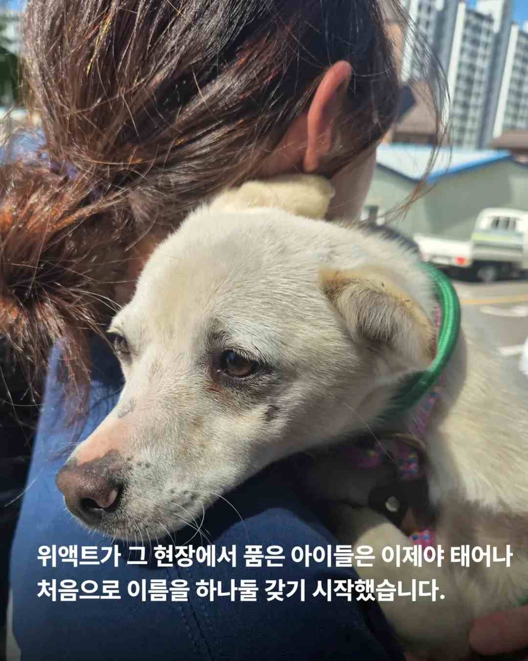 상세 사진 5