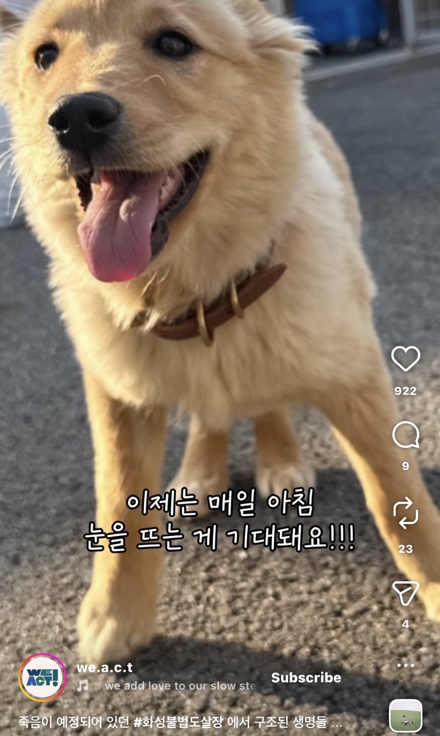 상세 사진 12