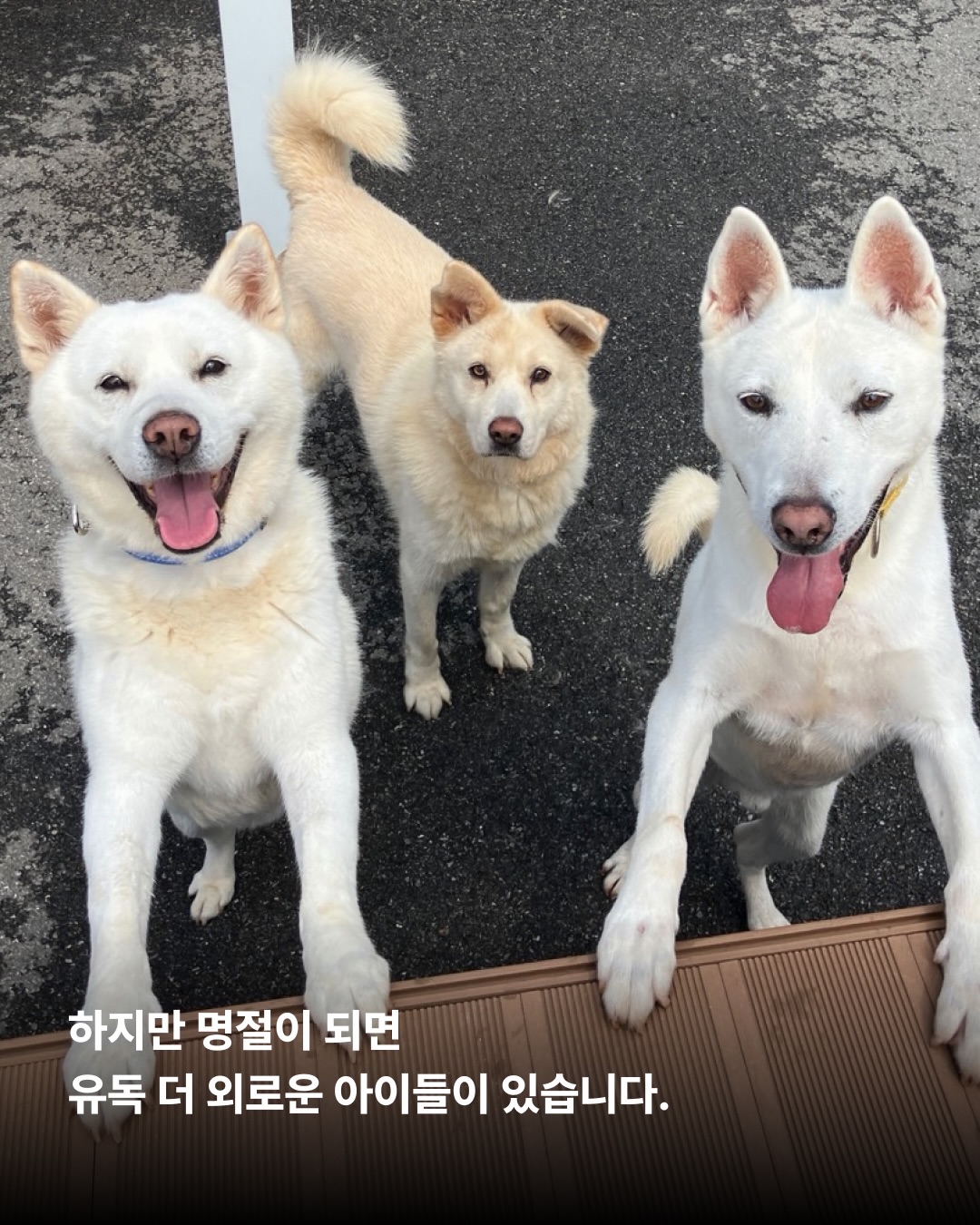 상세 사진 5