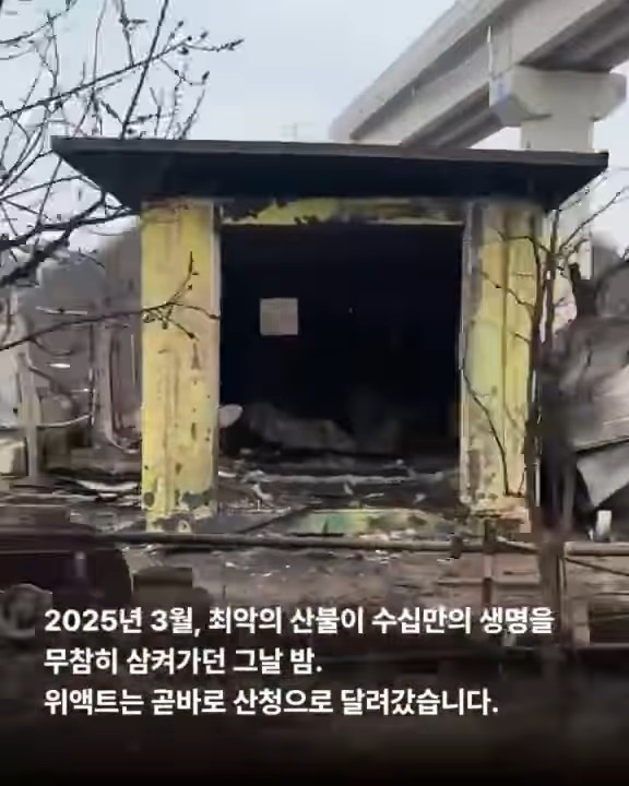 상세 사진 2